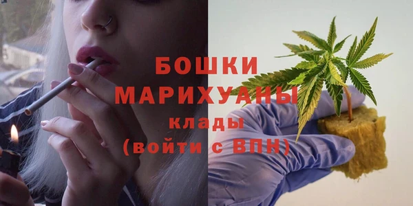 гидропоника Ельня