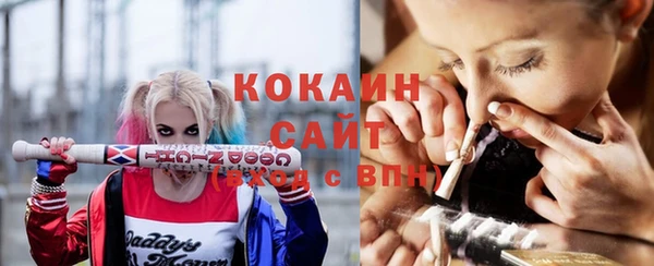 прущие грибы Россошь