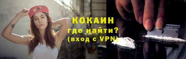 прущие грибы Россошь