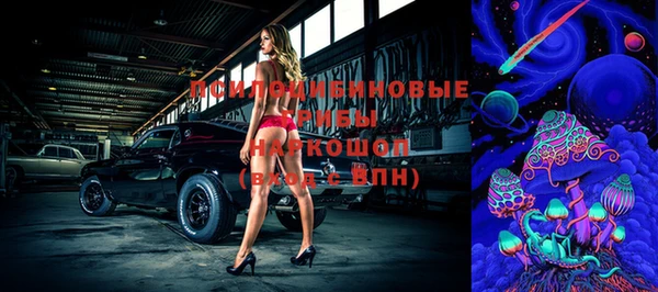 ALPHA PVP Рославль