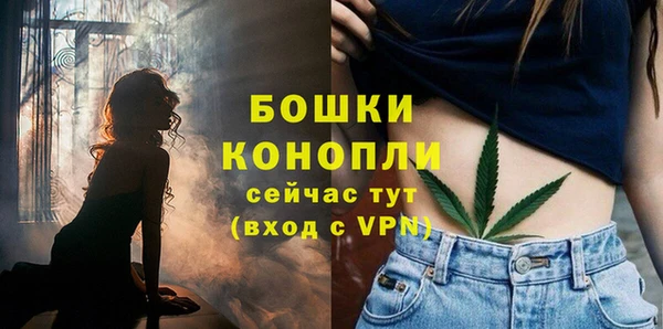 МДПВ Елизово