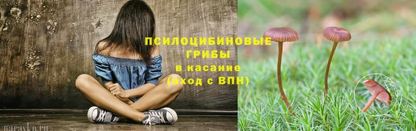 ALPHA PVP Рославль